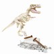 Stiinta si joaca descopera dinozaurul t-rex fluo Stiinta si joaca descopera dinozaurul t-rex fluo