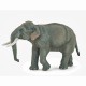 Papo figurina elefant asiatic Papo figurina elefant asiatic