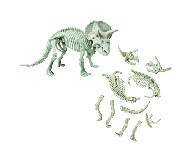 Descopera dinozaurul triceratops Descopera dinozaurul triceratops