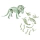 Descopera dinozaurul triceratops Descopera dinozaurul triceratops