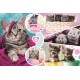 Puzzle trefl 160 pisici dragalase Puzzle trefl 160 pisici dragalase