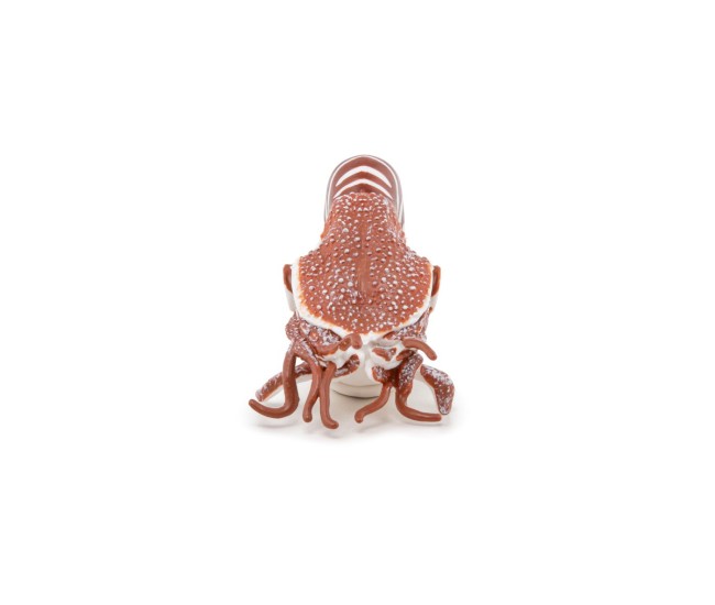 Papo figurina nautilus Papo figurina nautilus