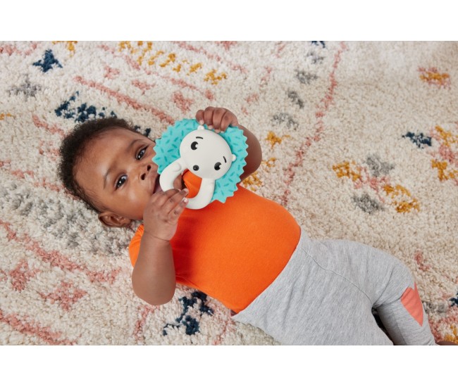 Fisher price jucarie zornaitoare arici