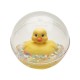 Fisher price ratusca in minge transparenta Fisher price ratusca in minge transparenta