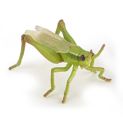 Papo figurina lacusta