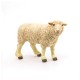 Papo figurina oaie merinos Papo figurina oaie merinos