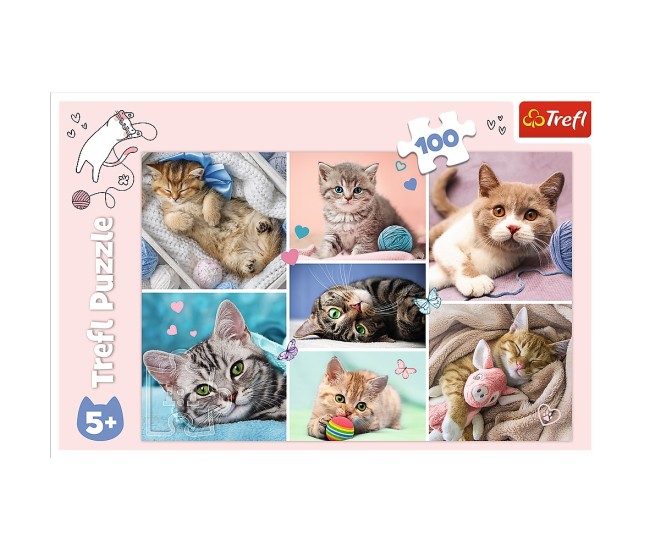 Puzzle trefl 100 in lumea pisicilor Puzzle trefl 100 in lumea pisicilor