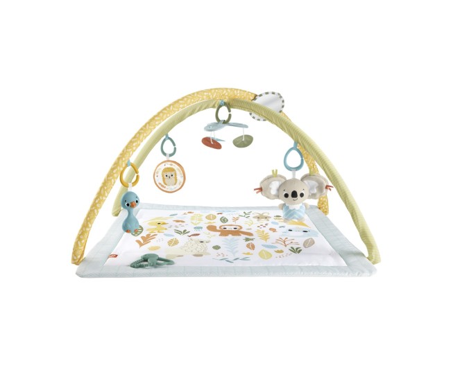 Fisher price salteluta de activitati Fisher price salteluta de activitati