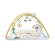 Fisher price salteluta de activitati Fisher price salteluta de activitati