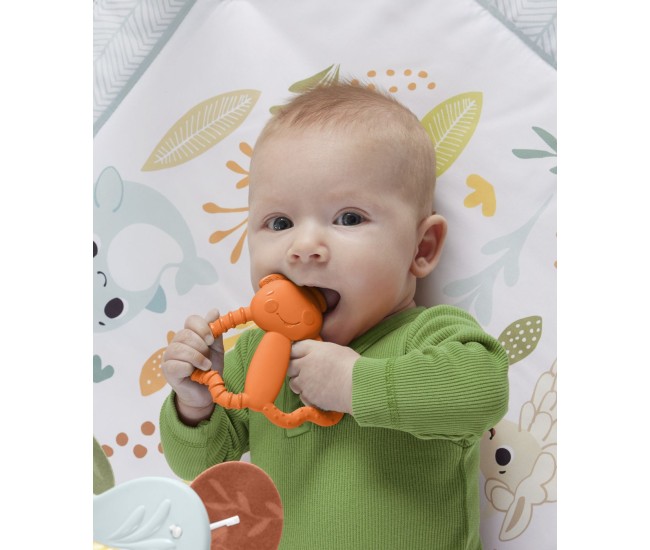 Jucarie dentitie pentru bebelusi gandacelul portocaliu Jucarie dentitie pentru bebelusi gandacelul portocaliu