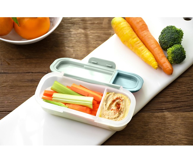 Recipient pentru snack cu sos, melii, container cactus fern sage