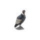 Papo figurina condor Papo figurina condor