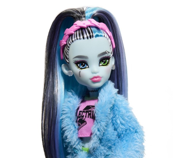 Monster high papusa creepover party frankie Monster high papusa creepover party frankie