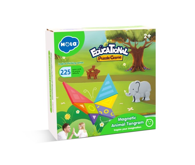 Joc educational tangram magnetic