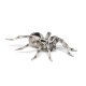 Papo figurina tarantula Papo figurina tarantula
