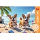 Puzzle trefl 100 catel corgi Puzzle trefl 100 catel corgi