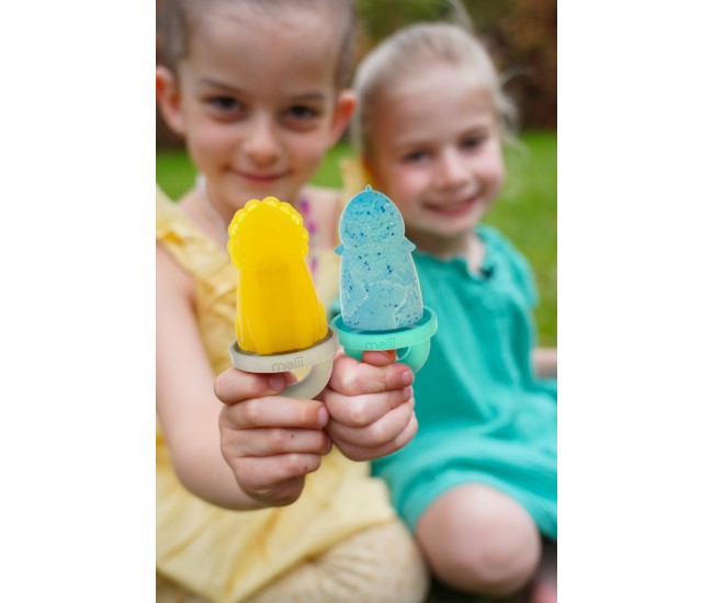 Set 6 forme de inghetata cu tava, melii, model animale