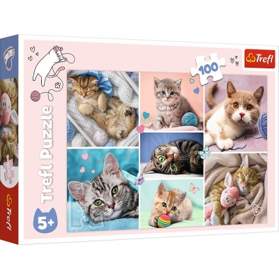 Puzzle trefl 100 in lumea pisicilor Puzzle trefl 100 in lumea pisicilor