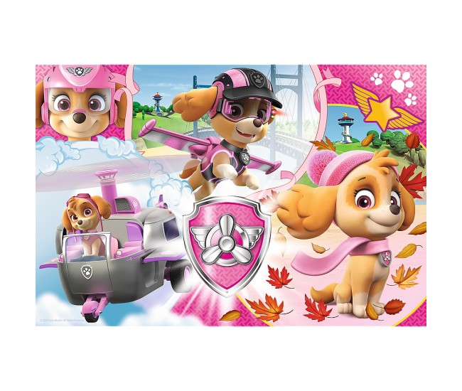 Puzzle trefl 100 skye in actiune