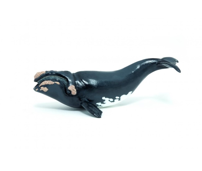 Papo figurina balena Papo figurina balena