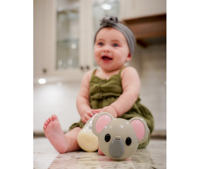 Recipient dozator lapte praf melii koala