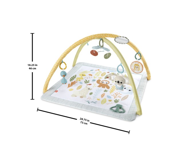 Fisher price salteluta de gimnastica pentru nou nascuti