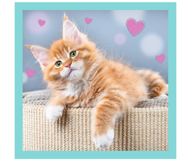 Puzzle trefl 3in1 pisicutele dragalase Puzzle trefl 3in1 pisicutele dragalase