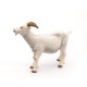 Papo figurina capra alba