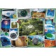 Puzzle trefl 1000 poze fericite Puzzle trefl 1000 poze fericite