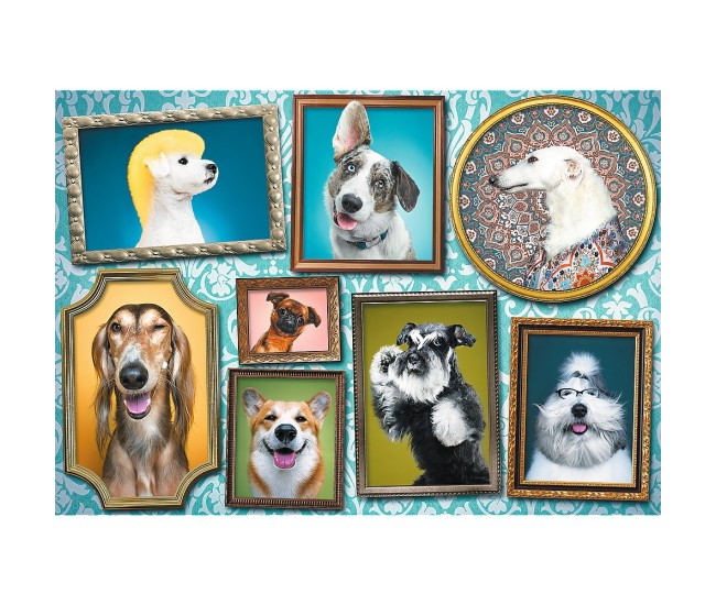 Puzzle trefl 1000 galeria cateilor Puzzle trefl 1000 galeria cateilor