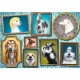 Puzzle trefl 1000 galeria cateilor Puzzle trefl 1000 galeria cateilor