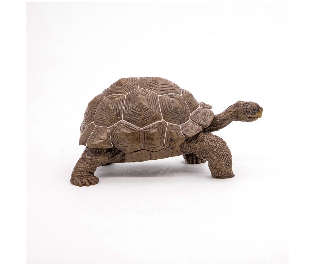 Papo figurina testoasa galapagos