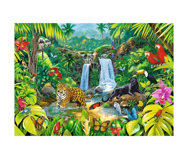 Puzzle trefl 2000 padurea tropicala Puzzle trefl 2000 padurea tropicala