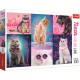 Puzzle trefl 1000 super pisici neon Puzzle trefl 1000 super pisici neon