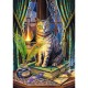 Puzzle trefl 1000 premium plus cartea umbrelor Puzzle trefl 1000 premium plus cartea umbrelor