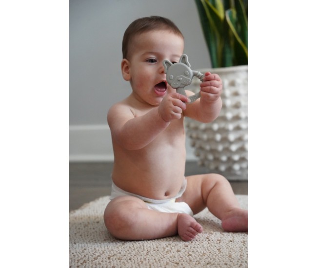 Set 2 jucarii dentitie silicon melii model bulldog + pisica