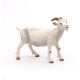 Papo figurina capra alba