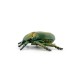 Papo figurina carabus Papo figurina carabus