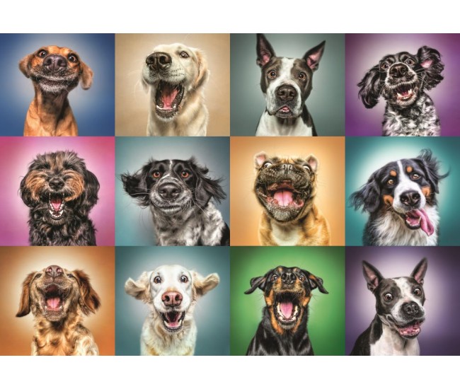 Puzzle trefl 1000 portret catelusi simpatici Puzzle trefl 1000 portret catelusi simpatici