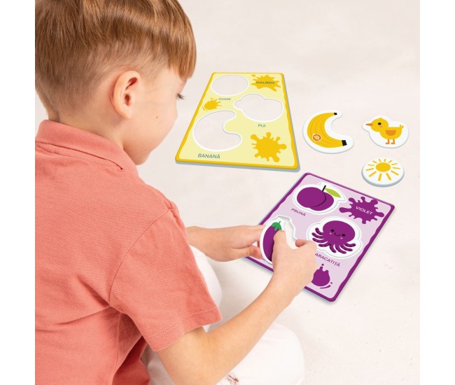 Agerino baby montessori recunoasterea culorilor Agerino baby montessori recunoasterea culorilor