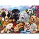Puzzle trefl uft 500 catelusii lenesi Puzzle trefl uft 500 catelusii lenesi